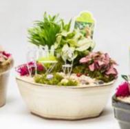 Ceramic Fairy Garden